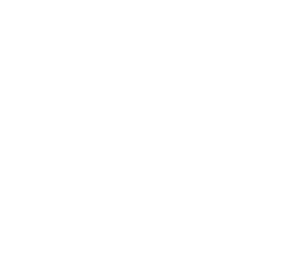 Símbolo HASHIDATA Audit — núcleo do carimbo de propriedade técnica